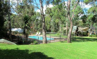 a large swimming pool surrounded by green grass and trees , with a fence surrounding the area at A-Line Holiday Park