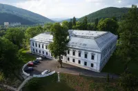 Hotel Gino Park Palace Hotels in 