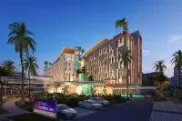 هيلتون جاردن إن مسقط الخوير Hotels near مطار مسقط الدولي