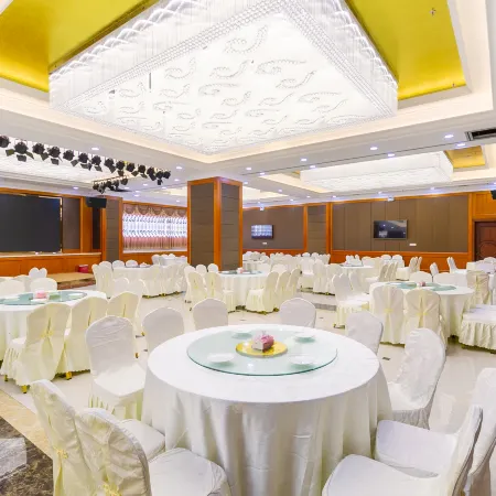 Vienna International Hotel (Daxin Detian Square)