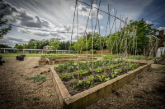 Stoke Place- Part of the Cairn Collection