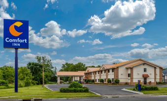 Comfort Inn Moline - Quad Cities