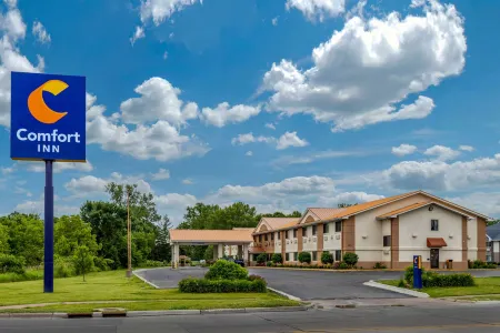 Comfort Inn Moline - Quad Cities Отели в г. Карбон Клифф
