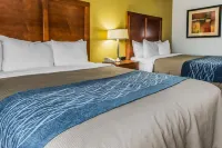 Comfort Inn Hotels in Rostraver