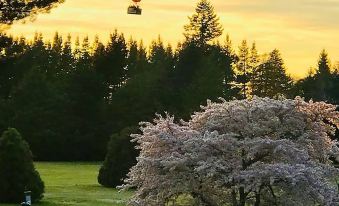 a hot air balloon is flying over a field with trees and a tree in the background at River Retreat