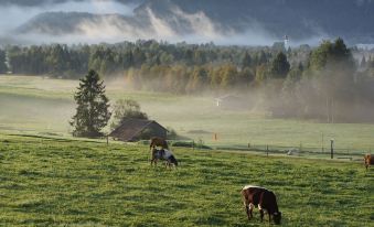 Wimmerhof Inzell