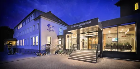 Hotel Pod Lipou Resort Отели в г. Сенец