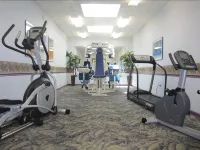 Sun Viking Lodge - Gym