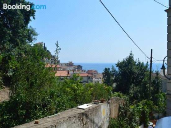 b&b tree service saskatoon