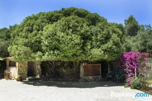 帕拉迪索二世農莊