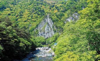 KAMENOI HOTEL SHIOBARA Dog Friendly Hotel
