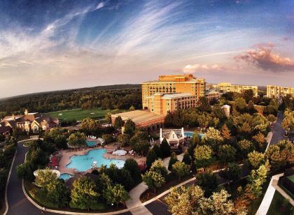 Lansdowne Resort and Spa
