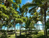 One&Only le Saint Geran