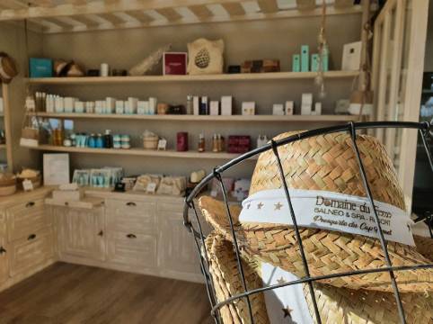 Domaine Du Ferret Balneo Spa Reviews For Star Hotels In Lege Cap Ferret Trip Com