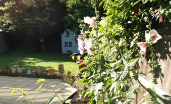 a lush green garden with a white picket fence , and a house in the background at The Den