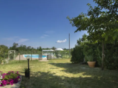 Contadino