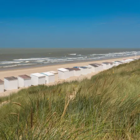 Sea Breeze