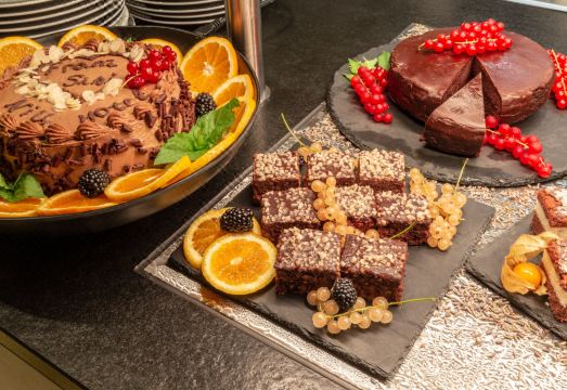 더 니우 프란츠 로비