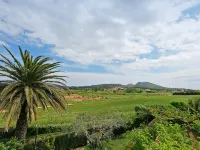 Mas Rovira 8