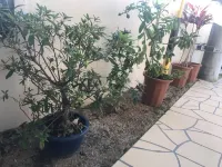 위클리 하버뷰 맨션 기노완