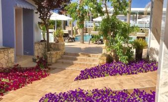 Paradice Hotel Luxury Suites-Near Zorbas Beach-Free Breakfast