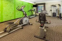 La Quinta Inn & Suites by Wyndham Birmingham Hoover - gimnasio