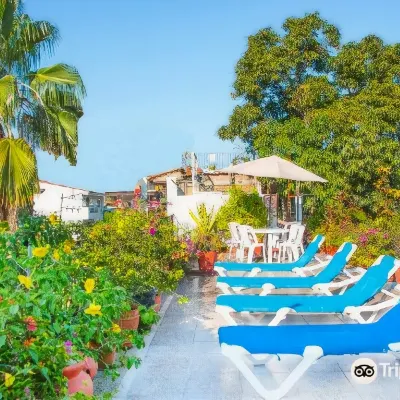Hotel Posada de Roger Hotels near Playa de los muertos