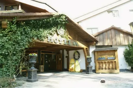 Waldgasthof am Letten Отели в г. Лауф-ан-дер-Пегниц