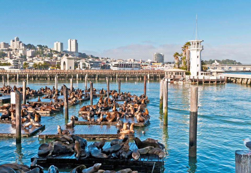 리우 플라자 조식 뷔페