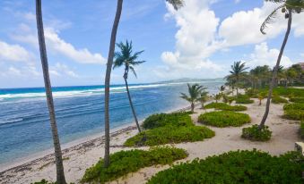 The Palms at Pelican Cove