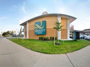 Quality Inn Flamingo