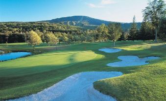 The Black Bear Lodge at Stratton Mountain Resort