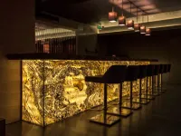 Grand Hotel Gaziantep - bar