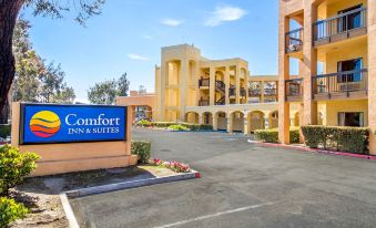 Comfort Inn & Suites San Francisco Airport North