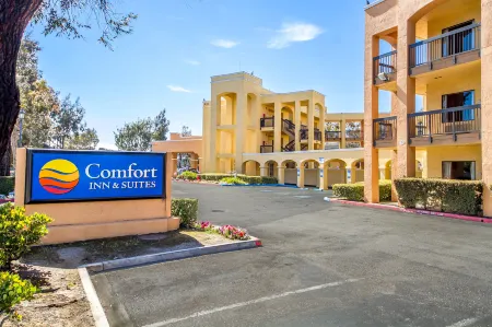 Comfort Inn & Suites San Francisco Airport North