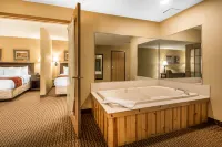Comfort Suites Wisconsin Dells Area - Wifi