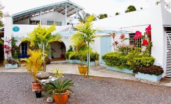 a tropical courtyard with white walls , blue trim , and various potted plants including palm trees at Paradise Inn