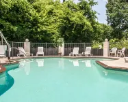 퀄리티 인 아테네