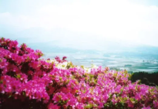 Pension Aso No Tokeidai