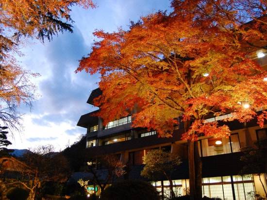 箱根湯本温泉 吉池旅館 箱根 宿泊予約 安い料金プラン 口コミ 部屋写真 Trip Com