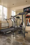 Holiday Inn Express & Suites TREMBLANT by IHG - Gym