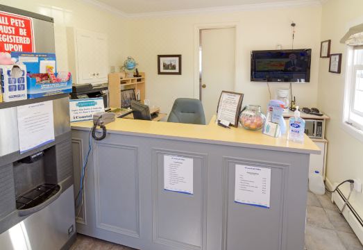 모스탈 인 앤티고니쉬