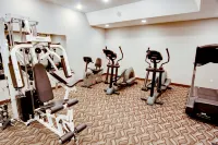 Rodd Royalty - Gym