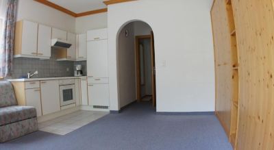 Large One-Bedroom Apartment