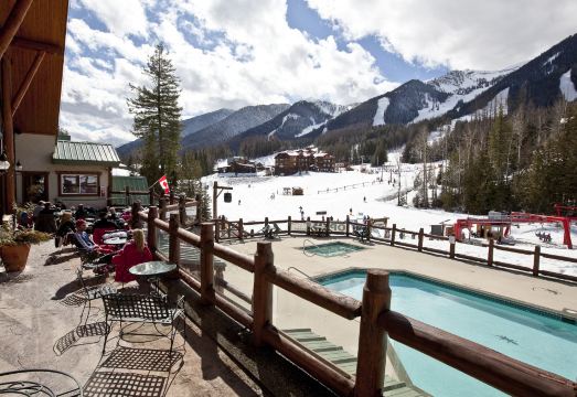 리자드 크릭 로지