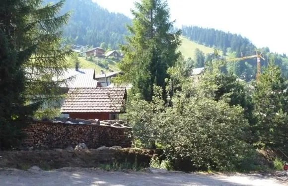 蘭考利黛米小木屋酒店