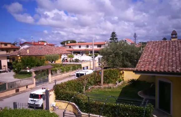 和平之鷺住宿加早餐旅館