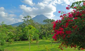 Volcano Lodge, Hotel & Thermal Experience