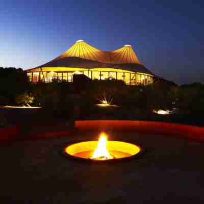 Longitude 131 Others