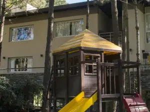 Sonidos Del Bosque